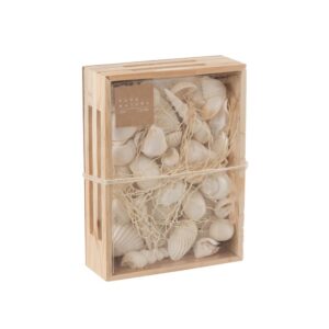 Boîte de coquillages déco artificels – Pure nature