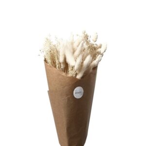 Bouquet de fleurs séchées naturelles – Moliets
