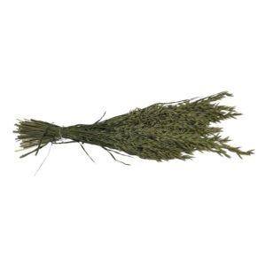 Fleurs séchées naturelles – Avoine en botte de 60cm