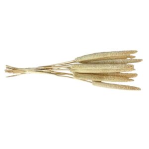 Fleurs séchées naturelles – Babla en botte de 70cm