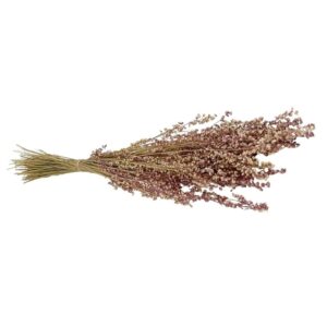Fleurs séchées naturelles – Briza en botte de 60cm
