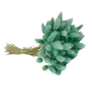 Fleurs séchées naturelles – Lagurus en botte de 60cm