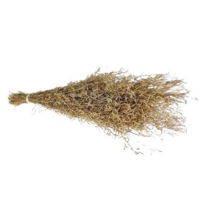 Fleurs séchées naturelles – Munni grass botte de 50cm