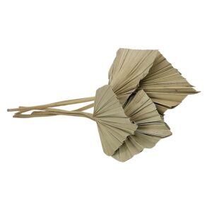 Fleurs séchées naturelles – Palm Spear botte de 50cm