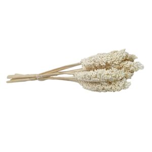 Fleurs séchées naturelles – Sorgho en botte de 70cm