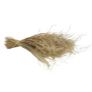 Fleurs séchées naturelles – Stipa en botte de 50cm