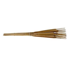 Fleurs séchées naturelles – Typha en botte de 70cm