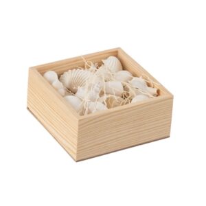 Boîte de coquillages déco artificels – Pure nature