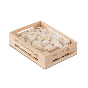 Boîte de coquillages déco artificels – Pure nature
